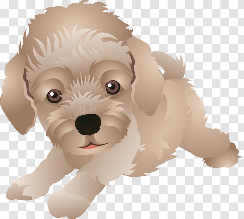 Maltese Dog Schnoodle Cockapoo Havanese Goldendoodle - Ear - Cartoon Transparent PNG