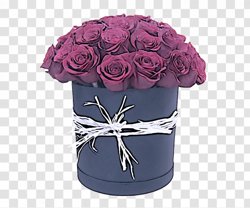 Rose - Plant - Family Transparent PNG