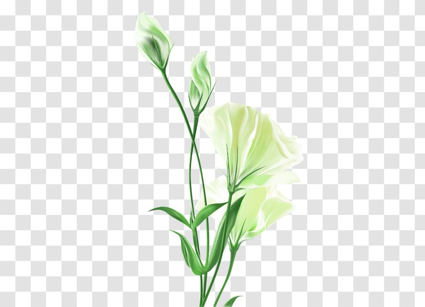Flower Bouquet Painting - Lily White Transparent PNG