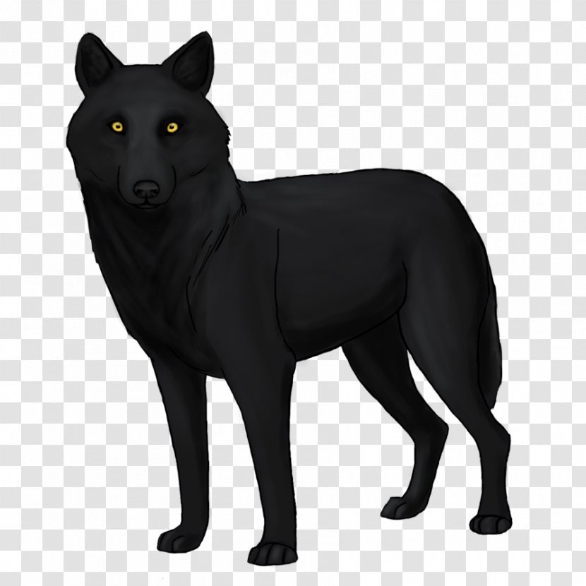 Schipperke Coyote Black Wolf Drawing Canidae - Mammal - Shadow Transparent PNG