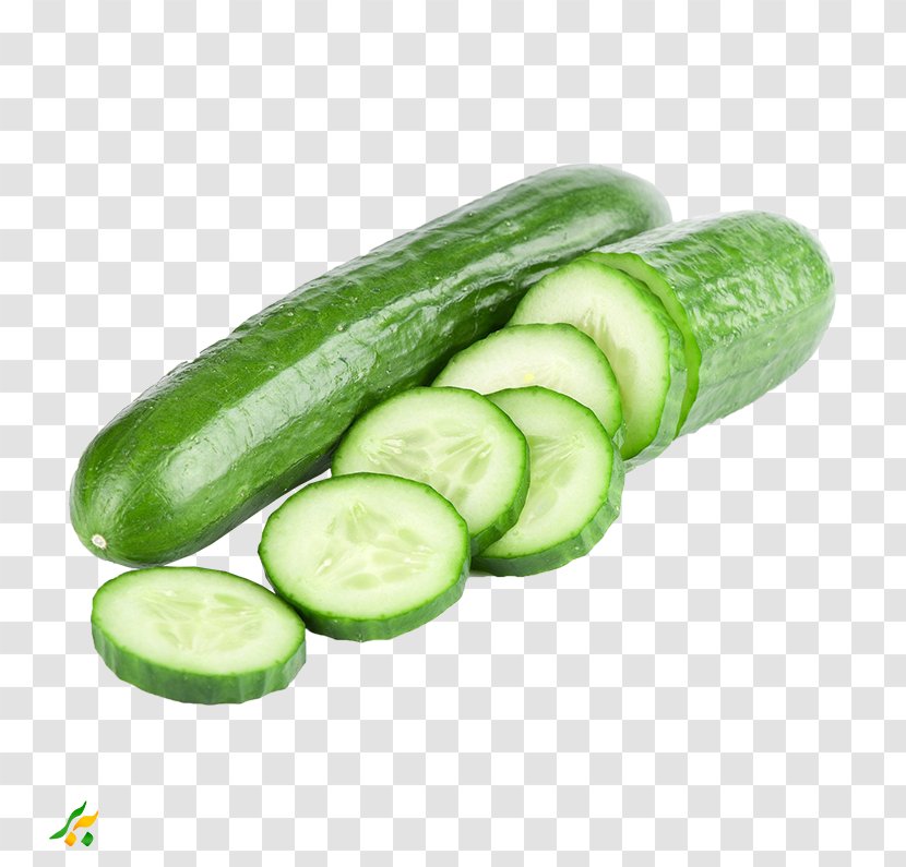 Pickled Cucumber Sandwich Vegetable Vegetarian Cuisine Transparent PNG
