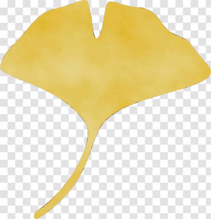 Yellow Leaf Tree Plant Transparent PNG