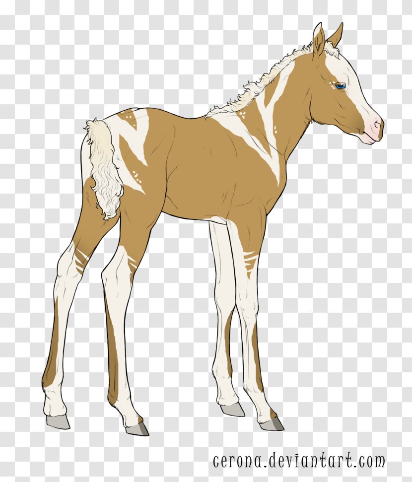 Mule Mustang Foal Stallion Halter - Horse Tack Transparent PNG