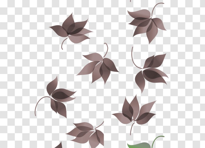 Petal Pattern Symmetry Product Design Twig - Early Autumn Transparent PNG
