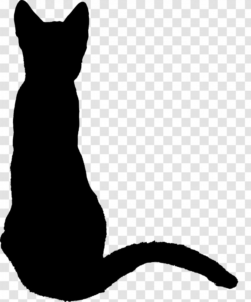 Cat Kitten Silhouette Drawing - Carnivoran - Animal Silhouettes Transparent PNG