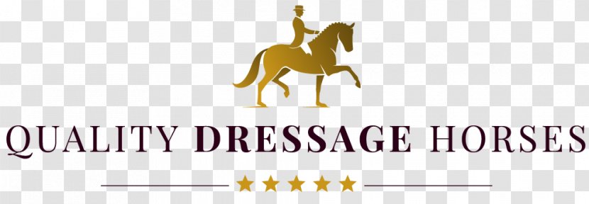 Horse Dressage Pack Animal Fajer Al-sabah School Levels - Joint Transparent PNG