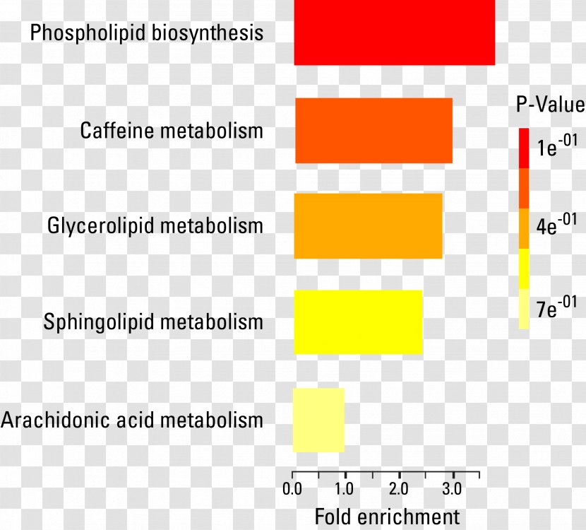 Metabolomics Lipidomics Exosome Metabolic Profiling: Methods And Protocols Metabolome - Acute Myeloid Leukemia - Differential Analyzer Transparent PNG
