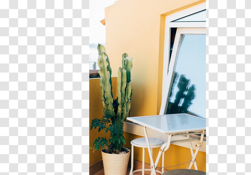 Oasis Backpackers Hostel Lisbon Backpacker Interior Design Services Flower Transparent PNG