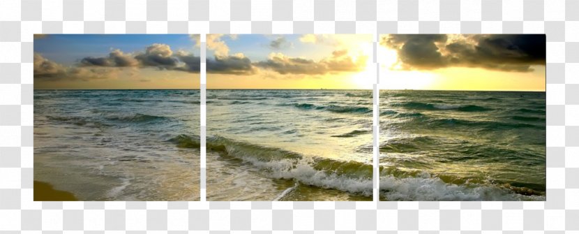 Photography Shore Photographic Printing Picture Frames - Wave - Beach Sunset Transparent PNG