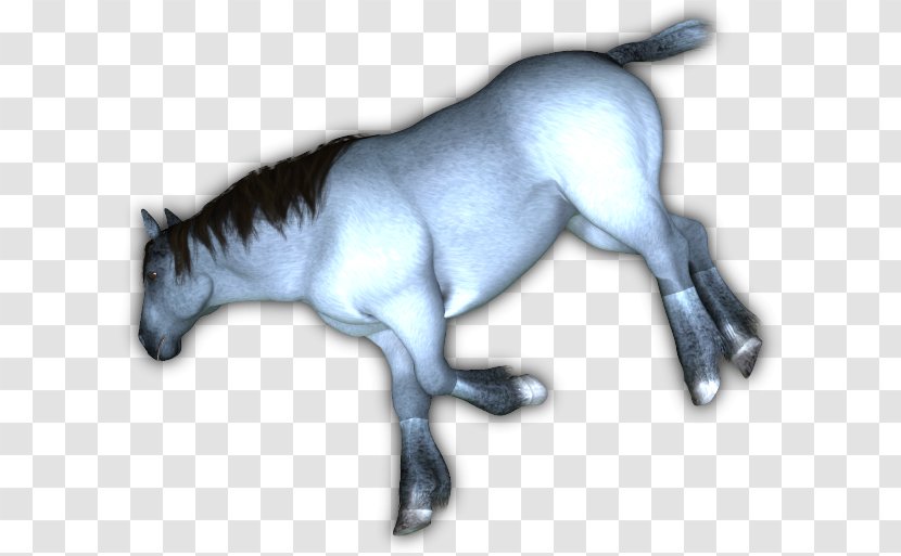Mule Mustang Foal Stallion Halter Transparent PNG