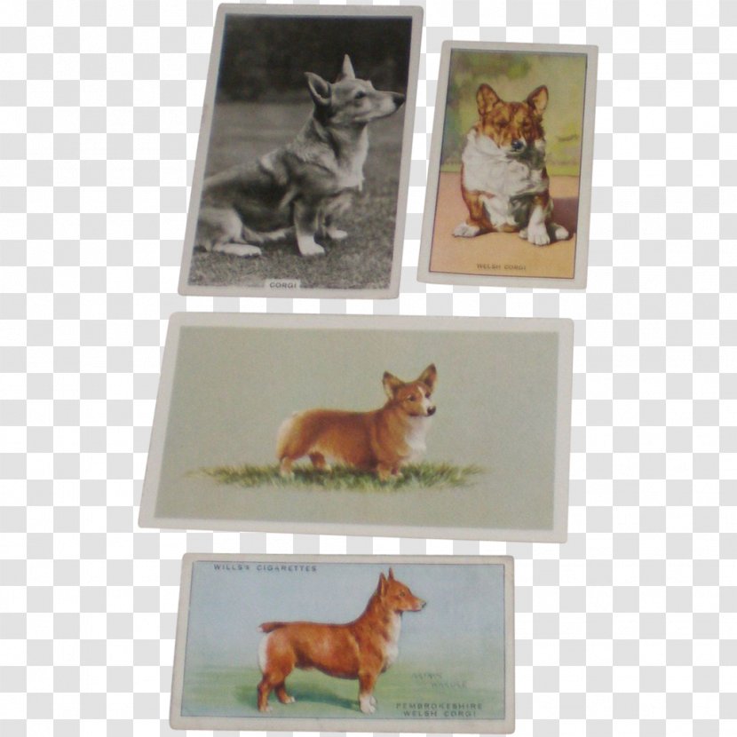 Dog Breed Picture Frames Tail Transparent PNG