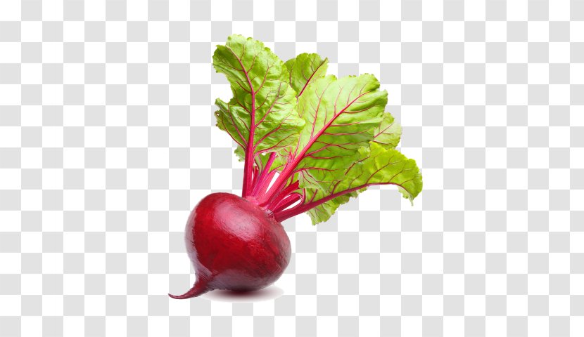 Mangelwurzel Chard Sugar Beet Beetroot Vegetable - Local Food Transparent PNG