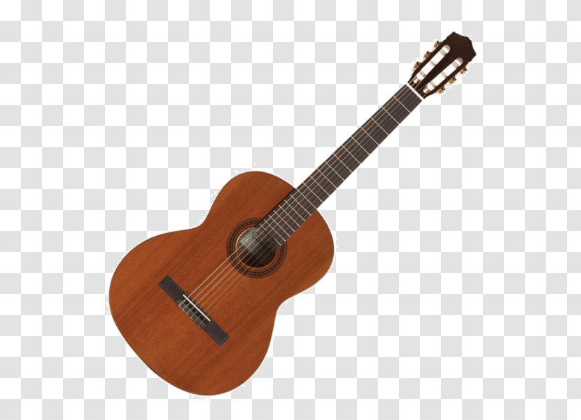 Steel-string Acoustic Guitar C. F. Martin & Company Dreadnought - C F Transparent PNG