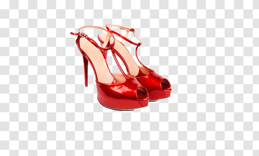 Shoe Sandal High-heeled Footwear Clothing - Tree - Ms. Sandals Transparent PNG
