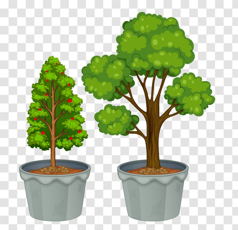 Drawing Clip Art - Flowerpot - Tree Transparent PNG