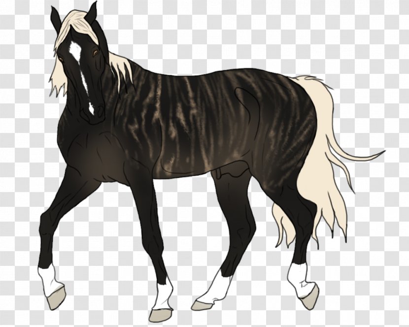 Mare Mane Stallion Mustang Foal - Bridle Transparent PNG