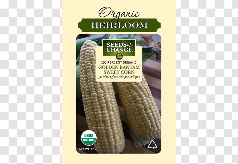 Sweet Corn Organic Food Popcorn Golden Bantam Kernel - Herb - Seed Transparent PNG