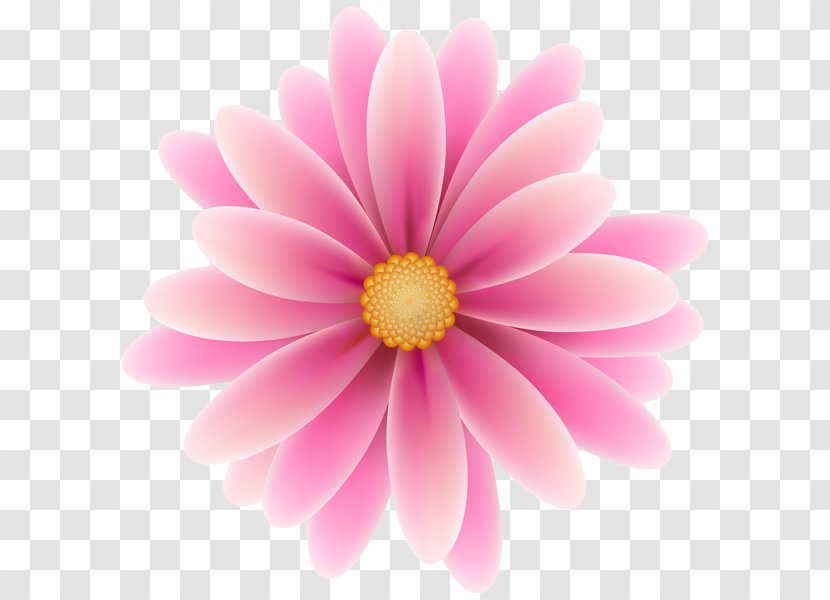 Pink Flowers Clip Art - Rose - Flower Transparent PNG