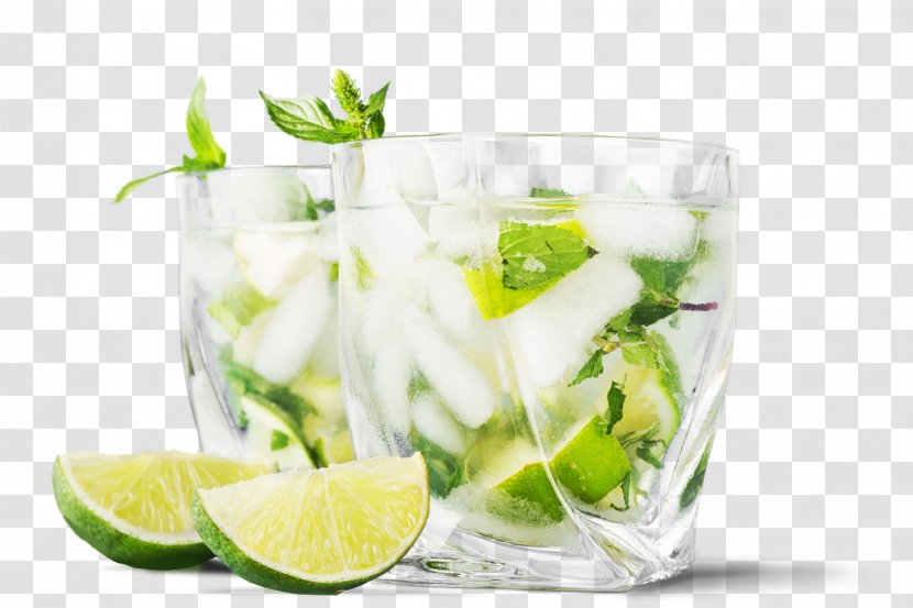 Mojito Cocktail Fizzy Drinks Vodka Tonic Lime - Mint Julep Transparent PNG