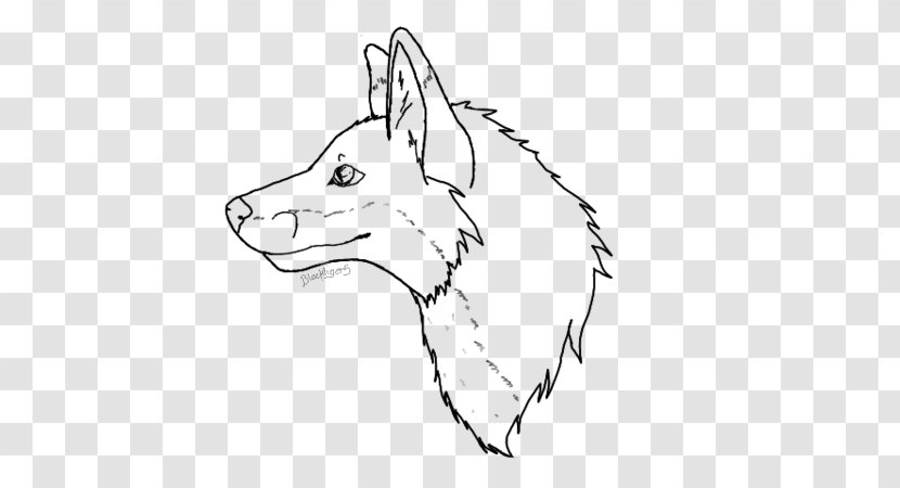 Drawing Line Art Fox Sketch - Watercolor Transparent PNG