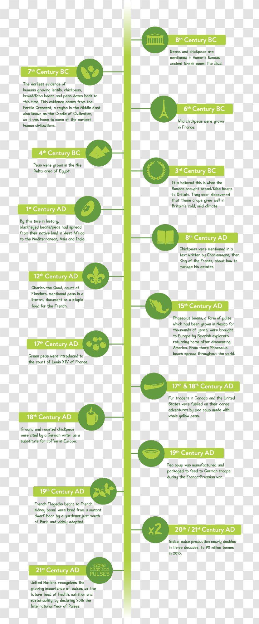 International Year Of Pulses Legume Food In History Bean - Timeline - INFOGRAFIC Transparent PNG
