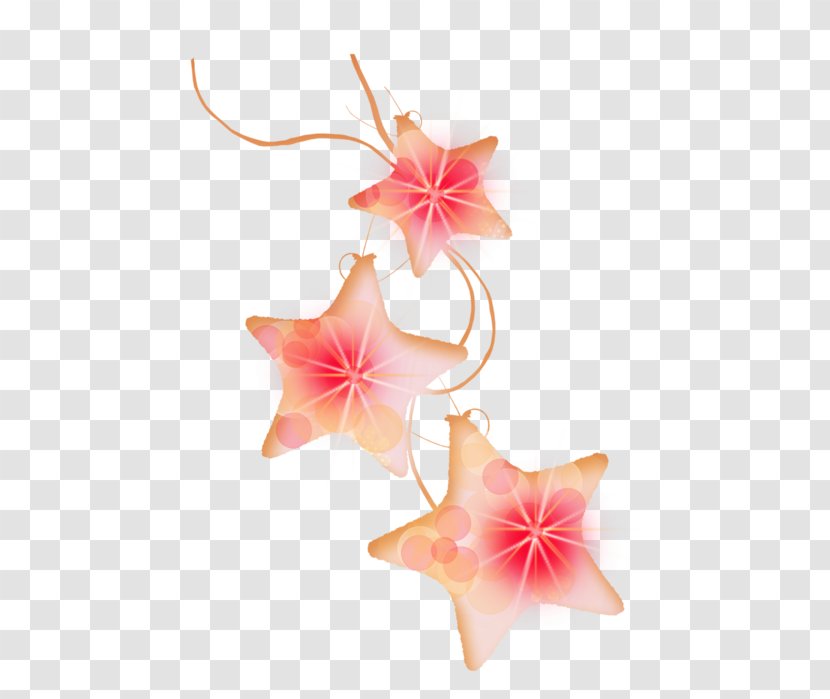 Petal Star - Pink - 星星 Transparent PNG