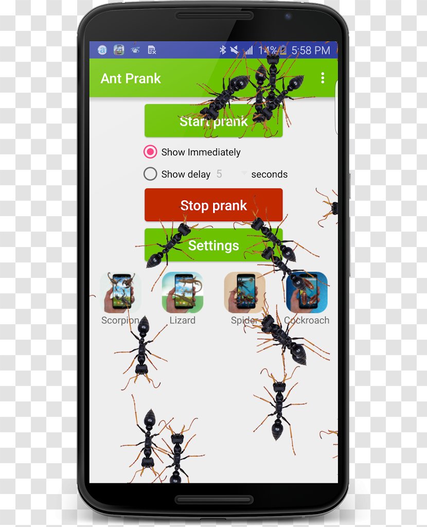 Ant Run Screenshot Running Mouse Android - Wear Os Transparent PNG