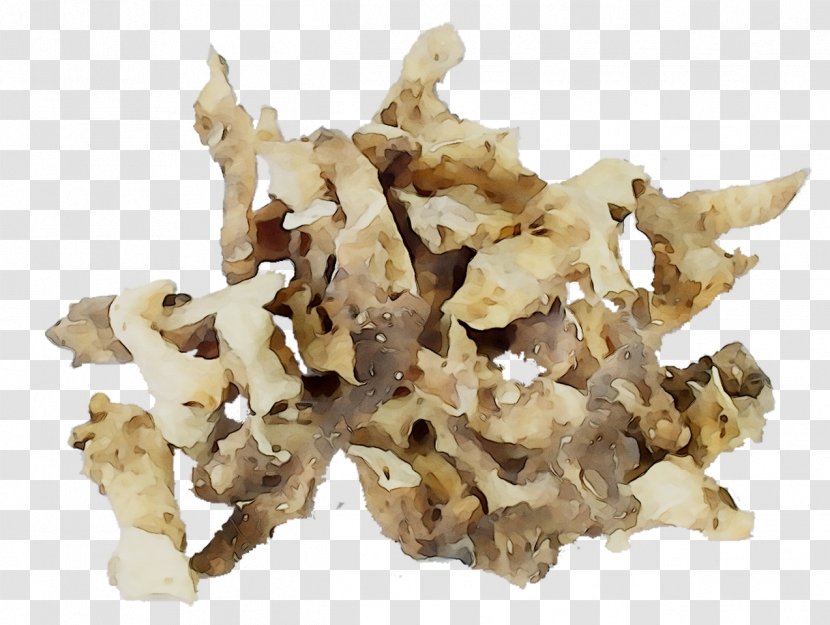 Ingredient - Fu Ling Transparent PNG