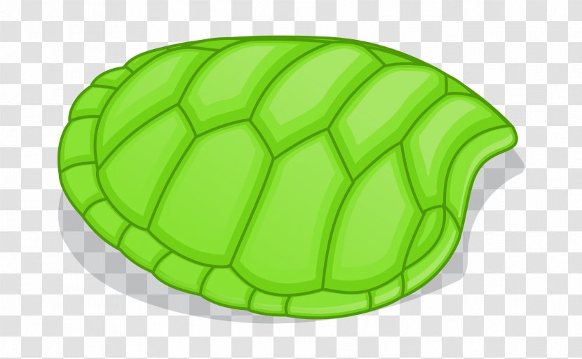 Green Sea Turtle Clip Art - Animation Transparent PNG