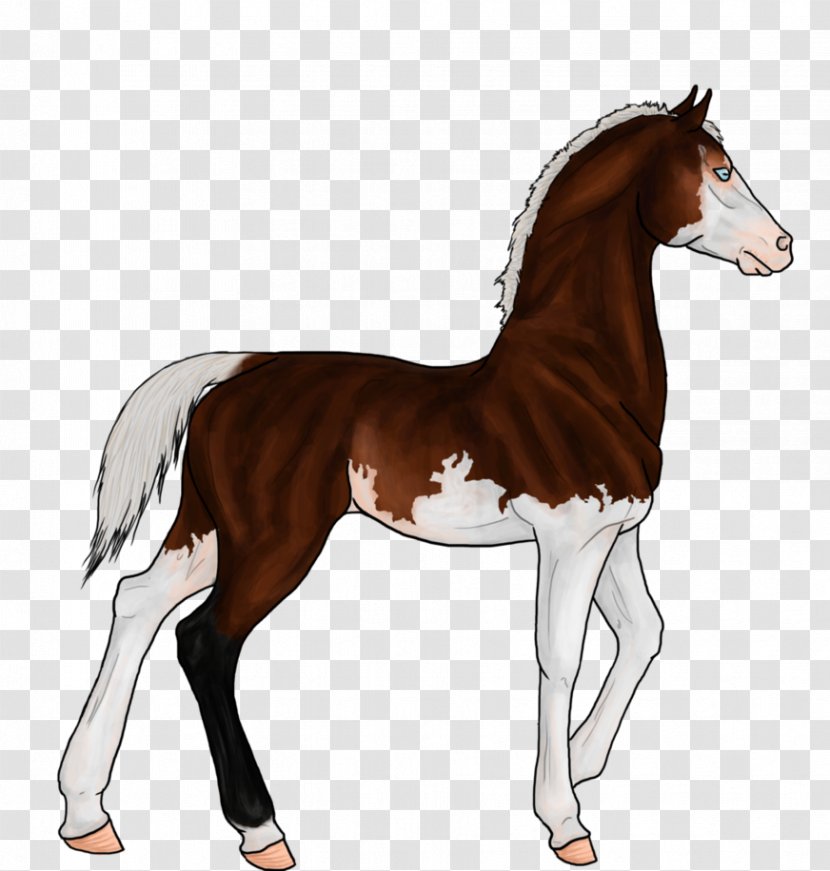 Foal Mane Mustang Stallion Colt - Drawing - Athenas Poster Transparent PNG