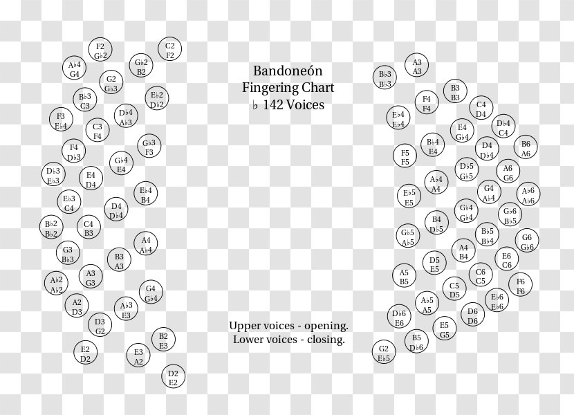 Bandoneon Keyboard Concertina Chromatic Scale Musical Instruments - Note Transparent PNG