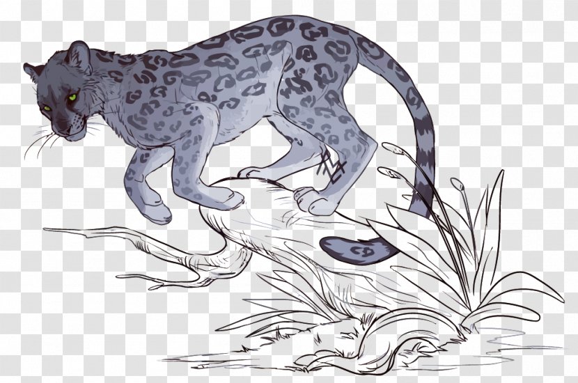 Snow Leopard Whiskers Lion - Black Panther - Vector Gray Transparent PNG