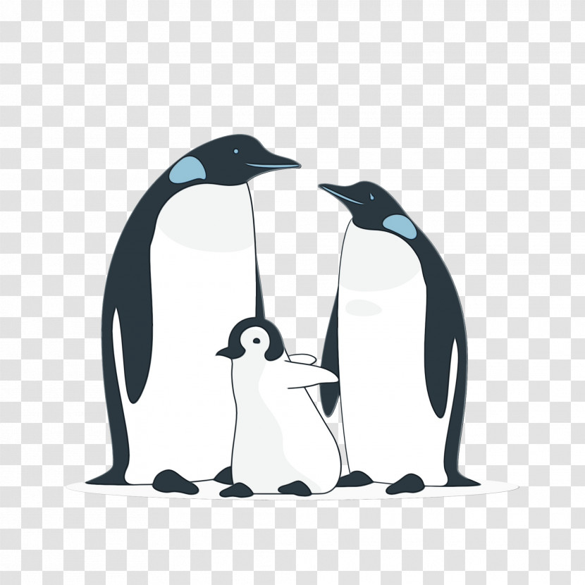 Penguins King Penguin Birds Drawing Transparent PNG