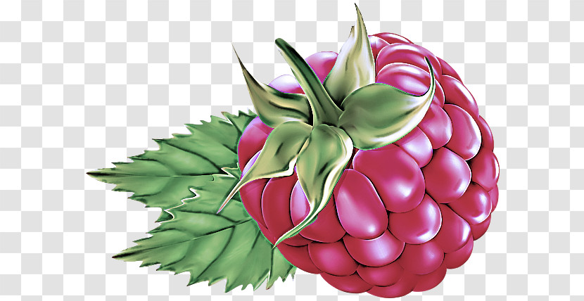 Natural Foods Pink Plant Leaf Fruit Transparent PNG