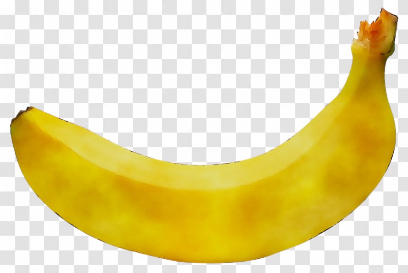 Weight Gain Banana Food SauersTown Lower Rhine Region - Family Transparent PNG