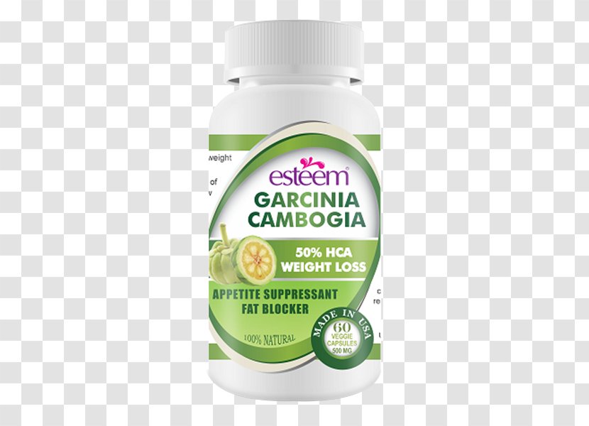 Dietary Supplement Garcinia Gummi-gutta Raspberry Ketone Hydroxycitric Acid Weight Loss - Artfire - Cambogia Transparent PNG