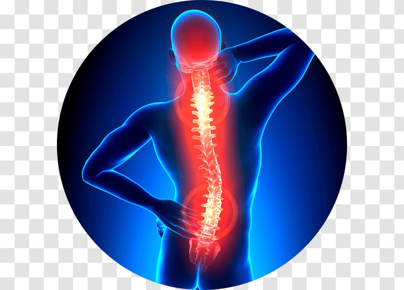 Vertebral Column Back Pain Neck Physical Therapy Spinal Stenosis - Health Transparent PNG
