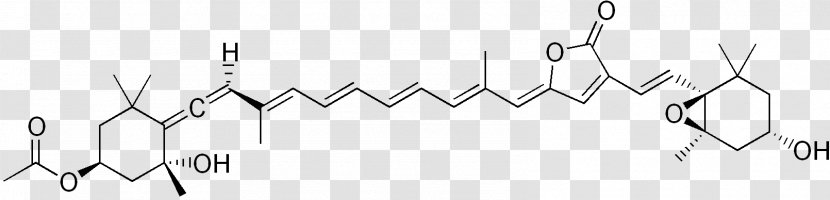 1,4-Naphthoquinone Carboxylic Acid Hydroxynaphthoquinone Chlorophyll - White - Hydroxy Group Transparent PNG