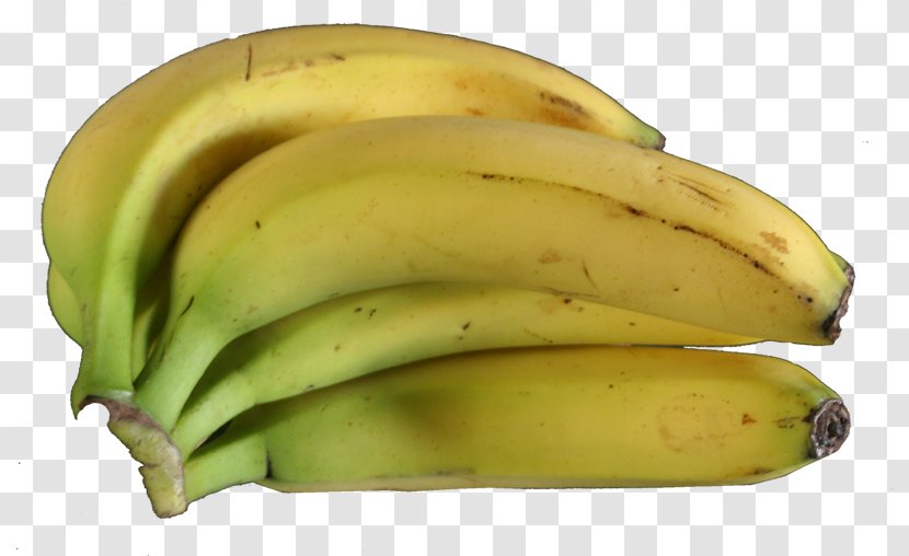 Saba Banana Cooking Musa × Paradisiaca Fruit - Family - Michael Corleone Transparent PNG