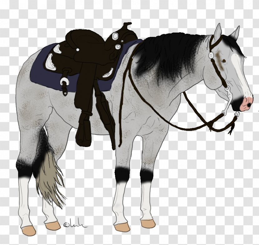Horse Western Pleasure Mane Bridle Stallion - Neck Transparent PNG