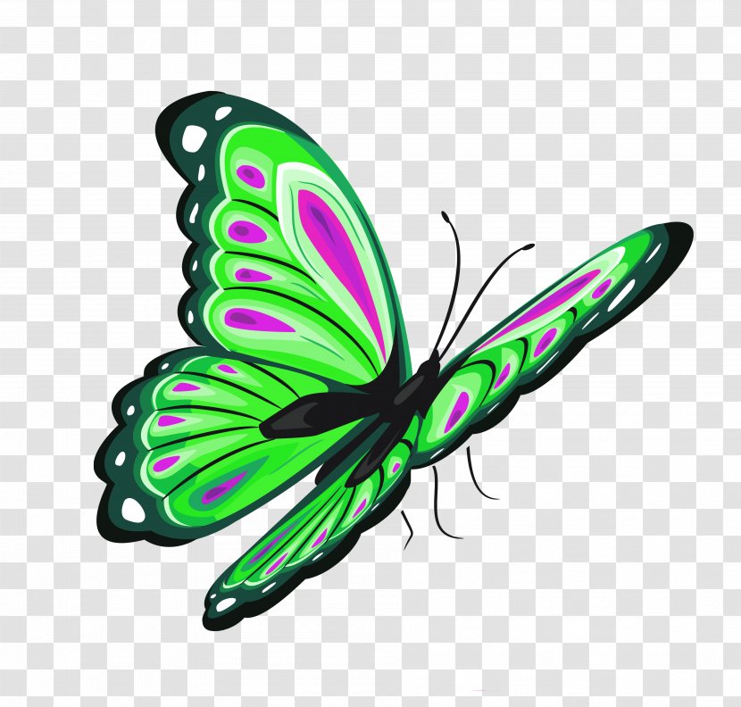 Butterfly Clip Art - Green Clipart Transparent PNG
