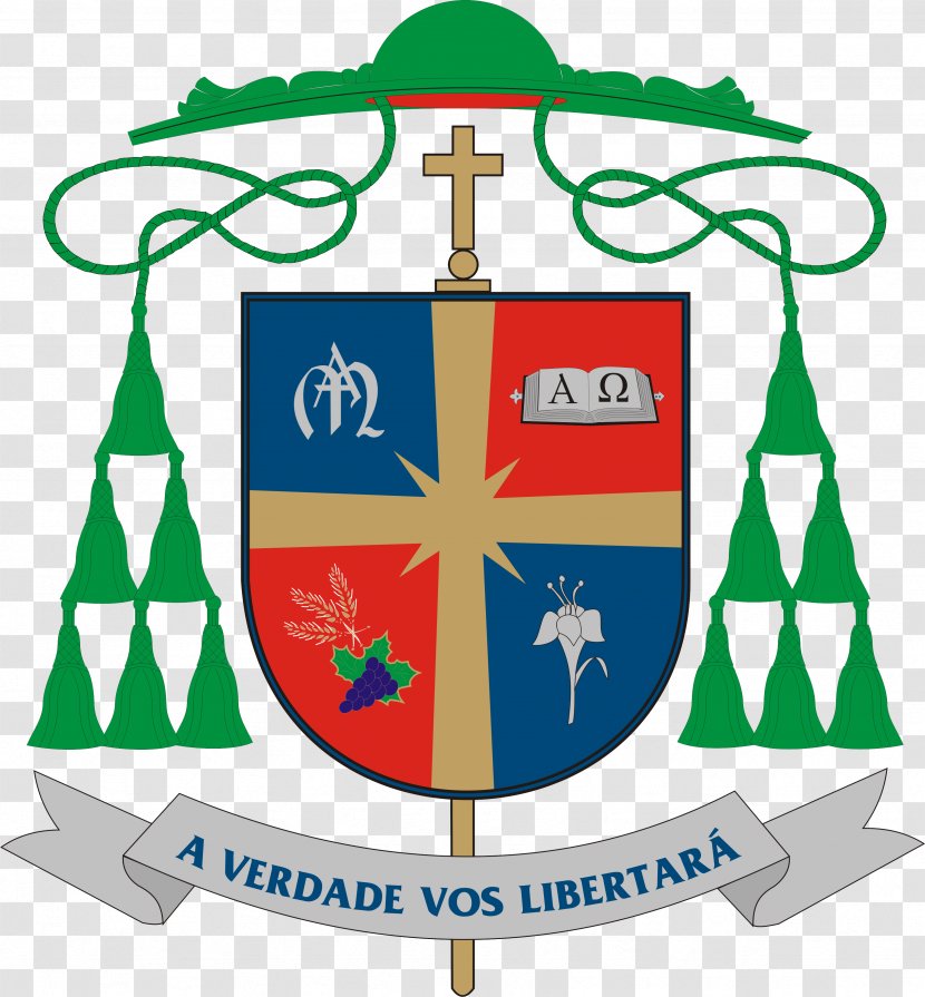 Roman Catholic Archdiocese Of Ribeirão Preto Olinda E Recife São Paulo Archbishop - Ordination - Diocese Transparent PNG
