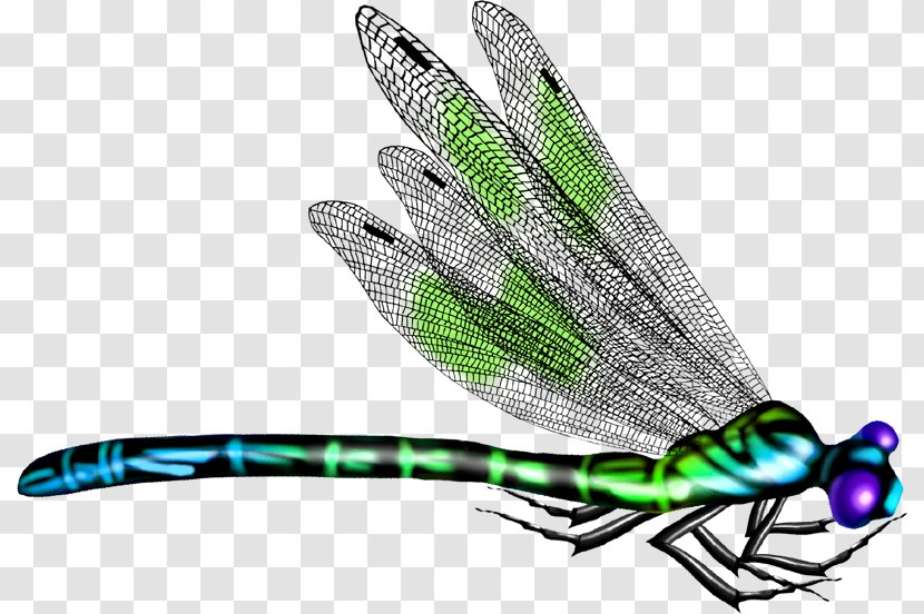 Butterfly Insect Dragonfly - Pixel - Green Transparent PNG