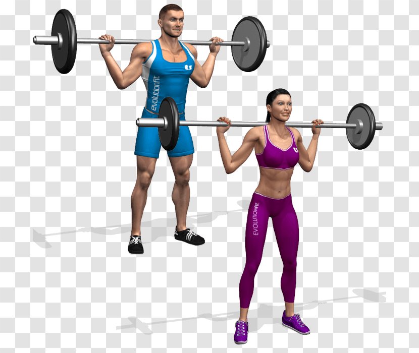 Weight Training Barbell Exercise Strength Squat - Flower - 3d Model Home Transparent PNG