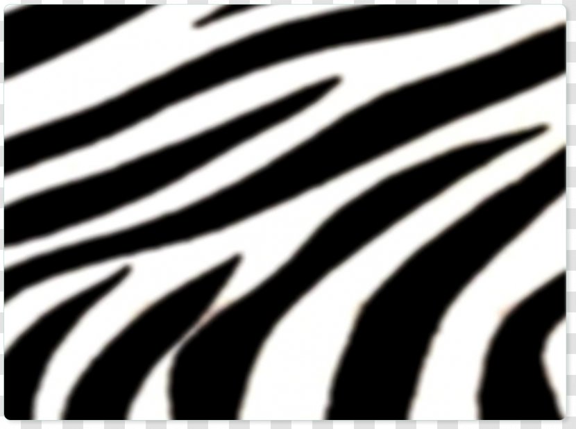 Black And White Pink Blue - Zebra Transparent PNG