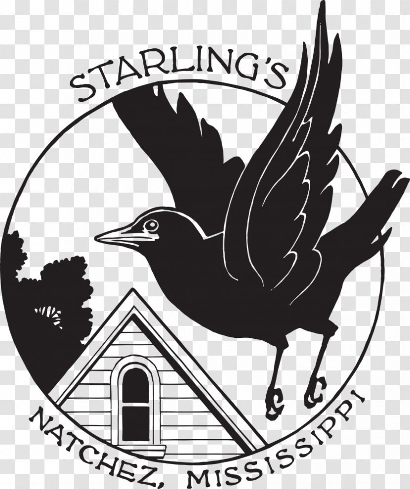 Starlings Hotel (Natchez Campus) Bed And Breakfast Accommodation Royal - Mississippi Transparent PNG