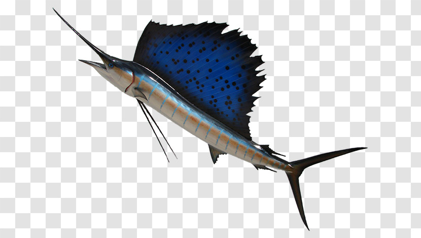 Swordfish Sailfish Atlantic Blue Marlin Marlin Fish Transparent PNG