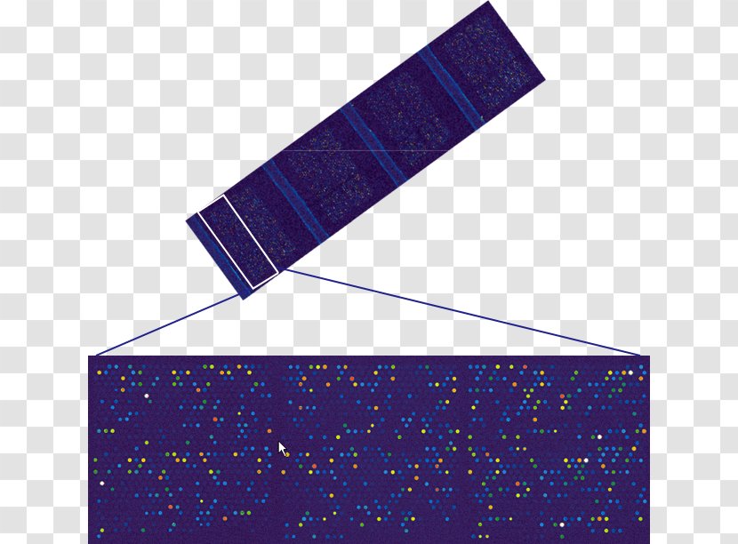 Microarray MicroRNA Affymetrix MiRBase - Violet - Midocean Ridge Transparent PNG