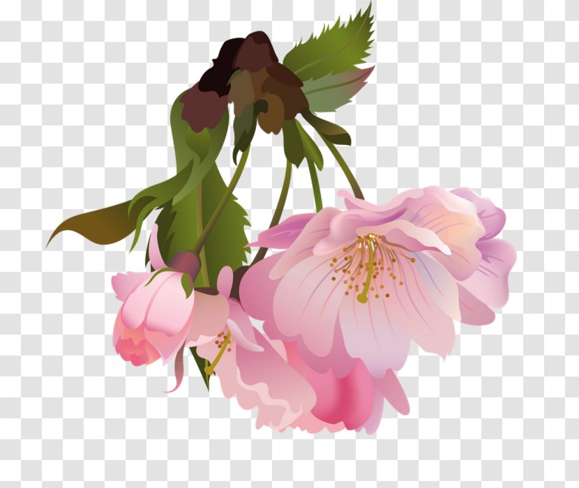 Flower Photography Clip Art Transparent PNG