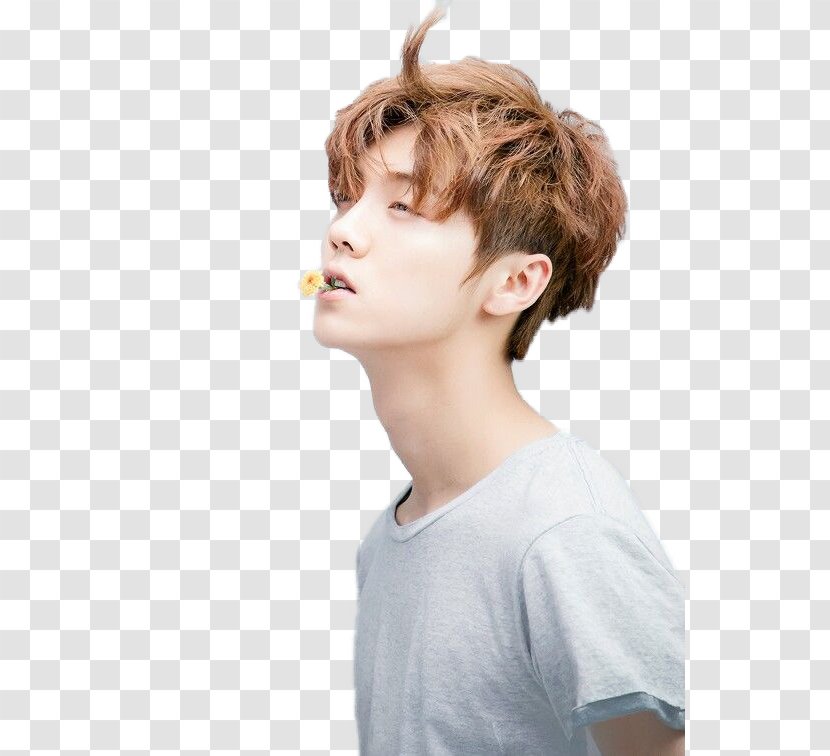 Lu Han Exo-CBX K-pop - Brown Hair - Have A Haircut Transparent PNG